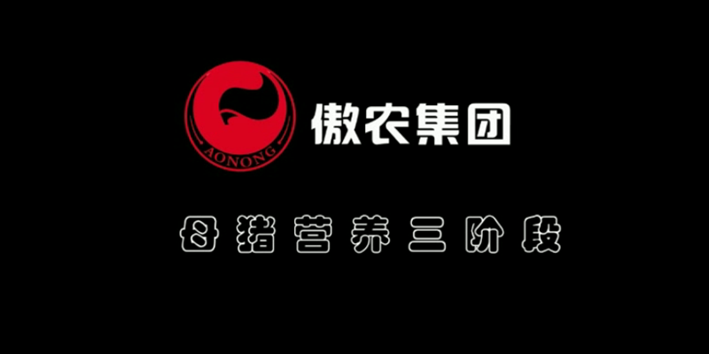 201803041141012653