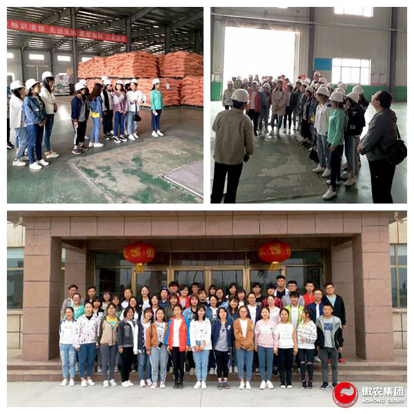 ONE游戏官网-皇马巴塞赞助商