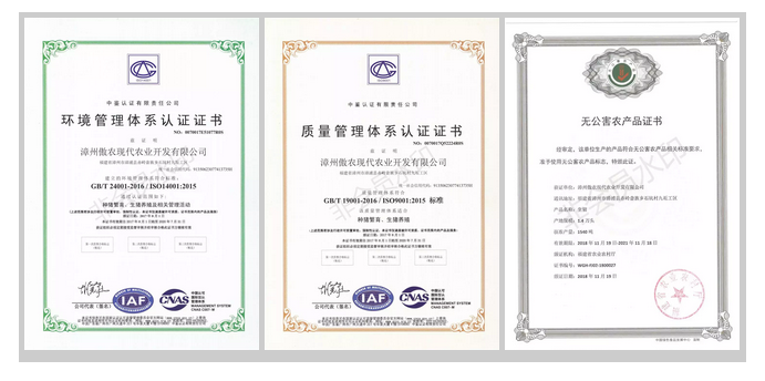201901081155397062 ONE游戏官网-皇马巴塞赞助商