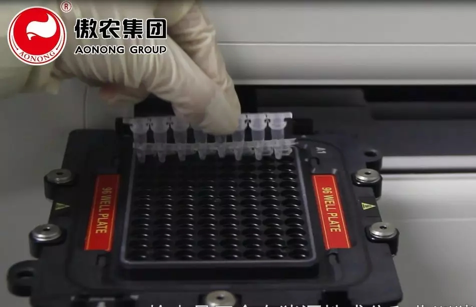 ONE游戏官网-皇马巴塞赞助商