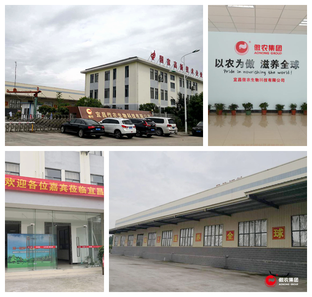 201906100958343880 ONE游戏官网-皇马巴塞赞助商