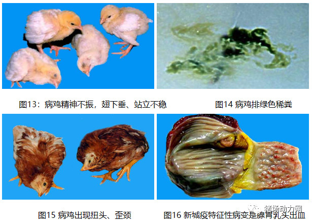 ONE游戏官网-皇马巴塞赞助商