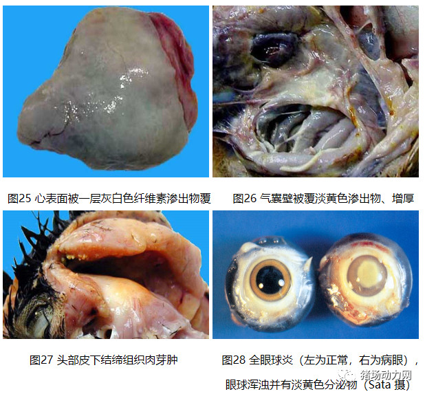 ONE游戏官网-皇马巴塞赞助商
