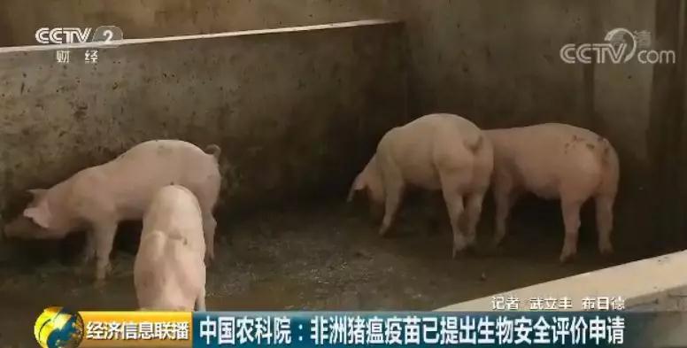 201909111134193110 ONE游戏官网-皇马巴塞赞助商