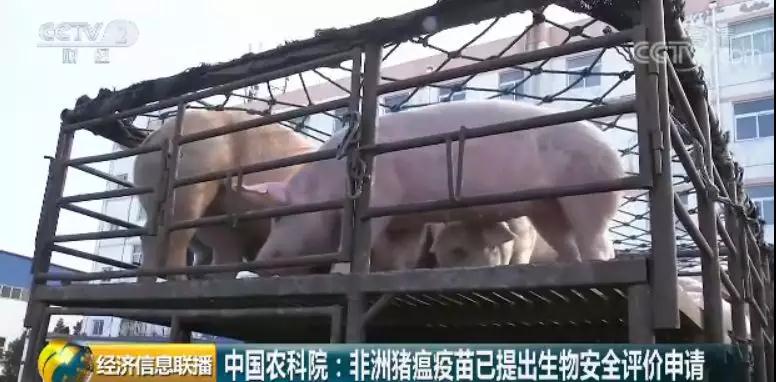 201909111134289188 ONE游戏官网-皇马巴塞赞助商