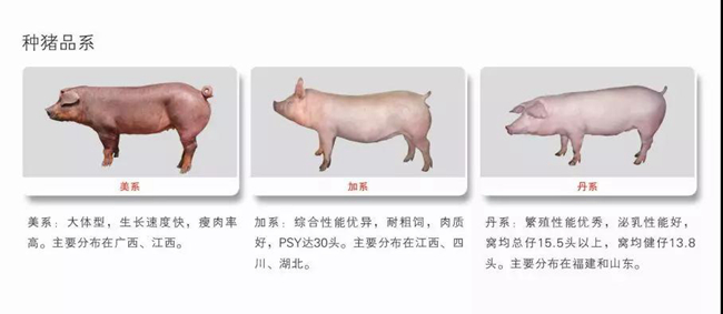201909291613000011 ONE游戏官网-皇马巴塞赞助商