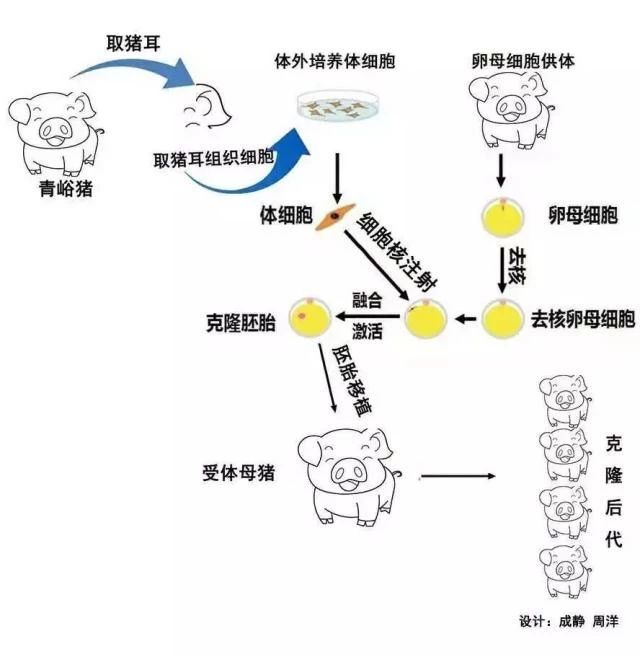 201910041533156351 ONE游戏官网-皇马巴塞赞助商