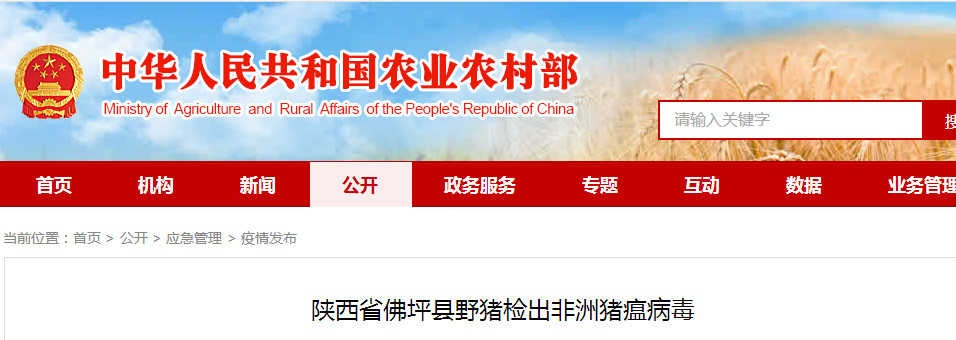 ONE游戏官网-皇马巴塞赞助商