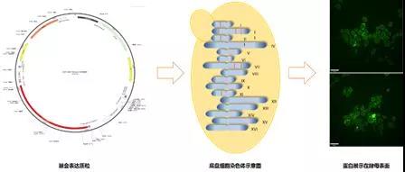202002261427293187 ONE游戏官网-皇马巴塞赞助商
