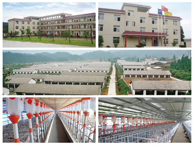 202003200939207894 ONE游戏官网-皇马巴塞赞助商