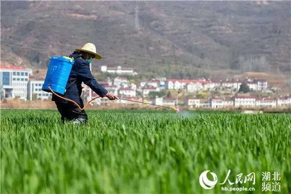 202004161030593898 ONE游戏官网-皇马巴塞赞助商