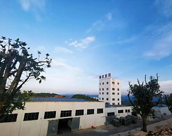 202008050847451364 ONE游戏官网-皇马巴塞赞助商