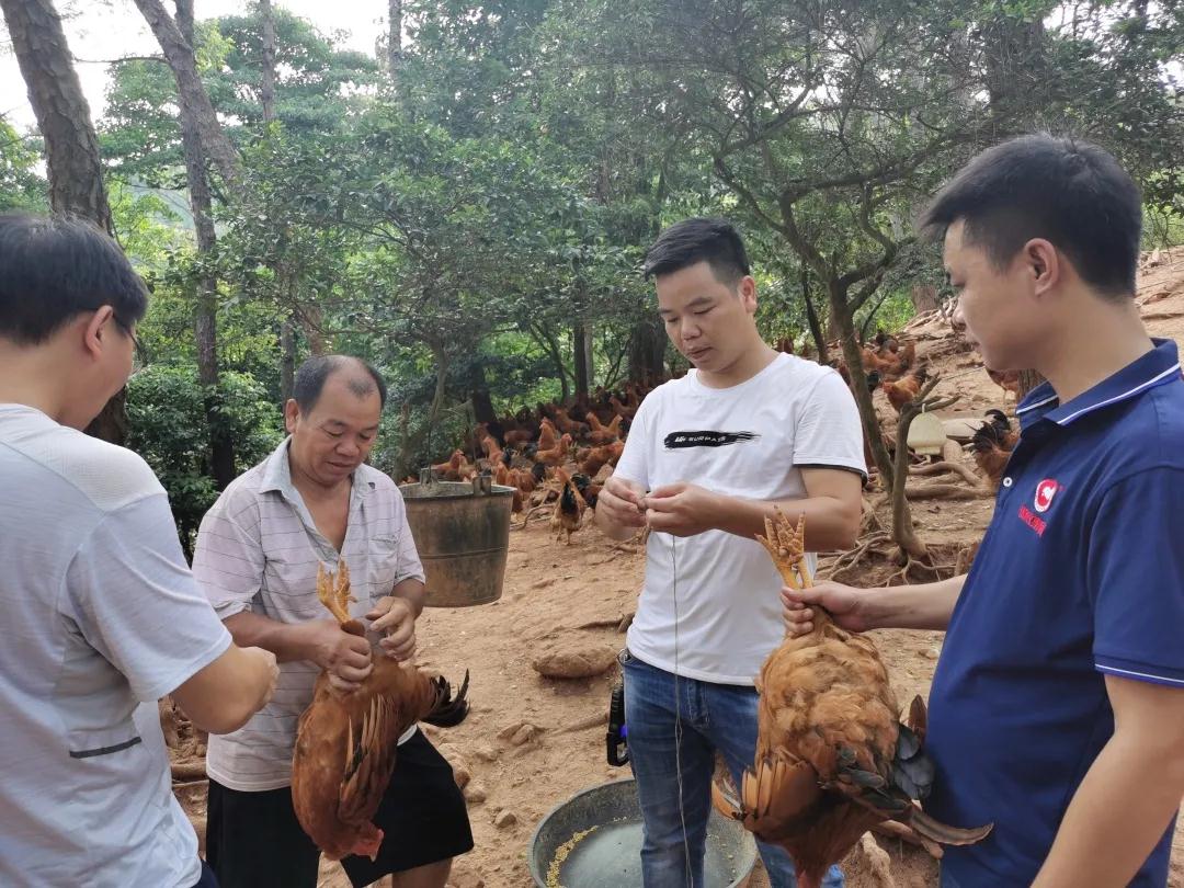 ONE游戏官网-皇马巴塞赞助商