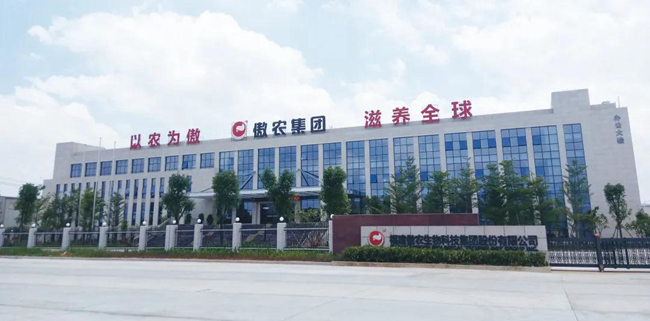 202009080955484500 ONE游戏官网-皇马巴塞赞助商