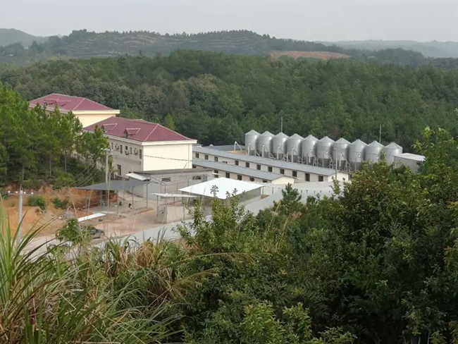 202009291902014864 ONE游戏官网-皇马巴塞赞助商