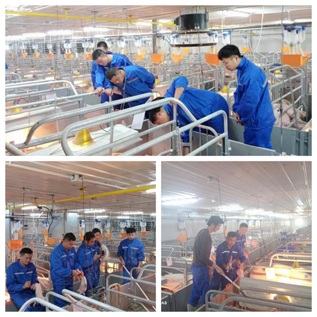 202011301352070161 ONE游戏官网-皇马巴塞赞助商