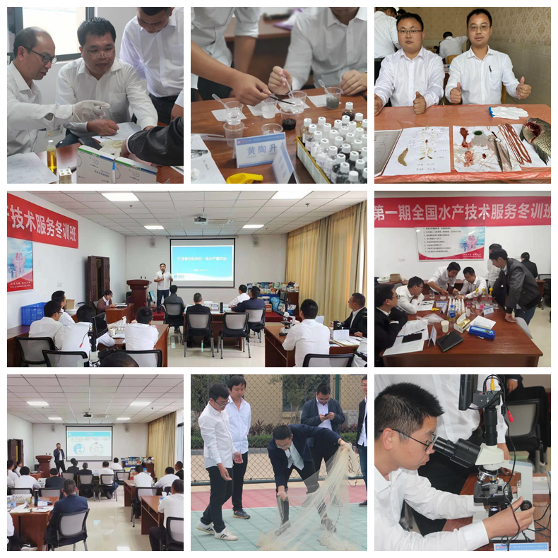 202012062003398719 ONE游戏官网-皇马巴塞赞助商