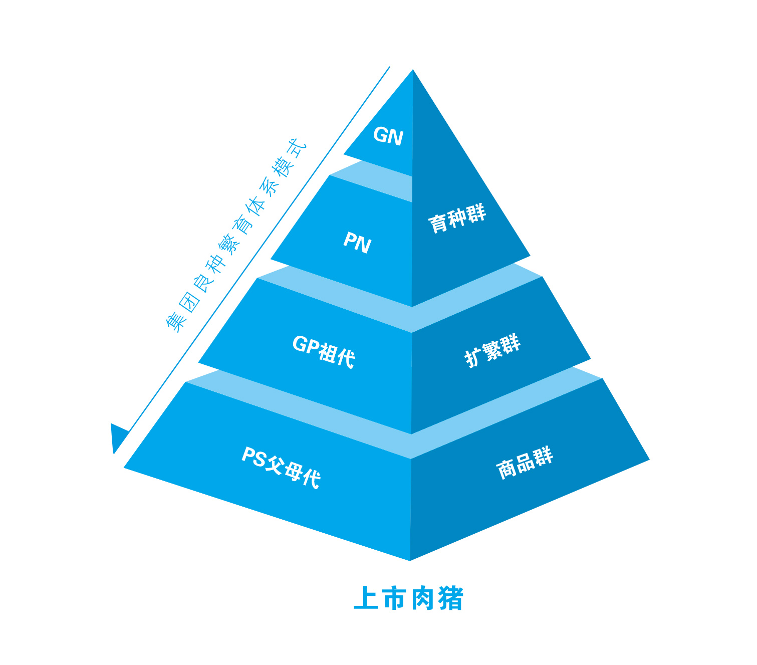 ONE游戏官网-皇马巴塞赞助商