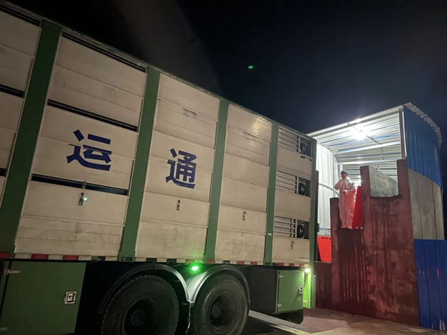 ONE游戏官网-皇马巴塞赞助商