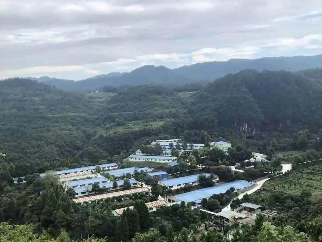 ONE游戏官网-皇马巴塞赞助商