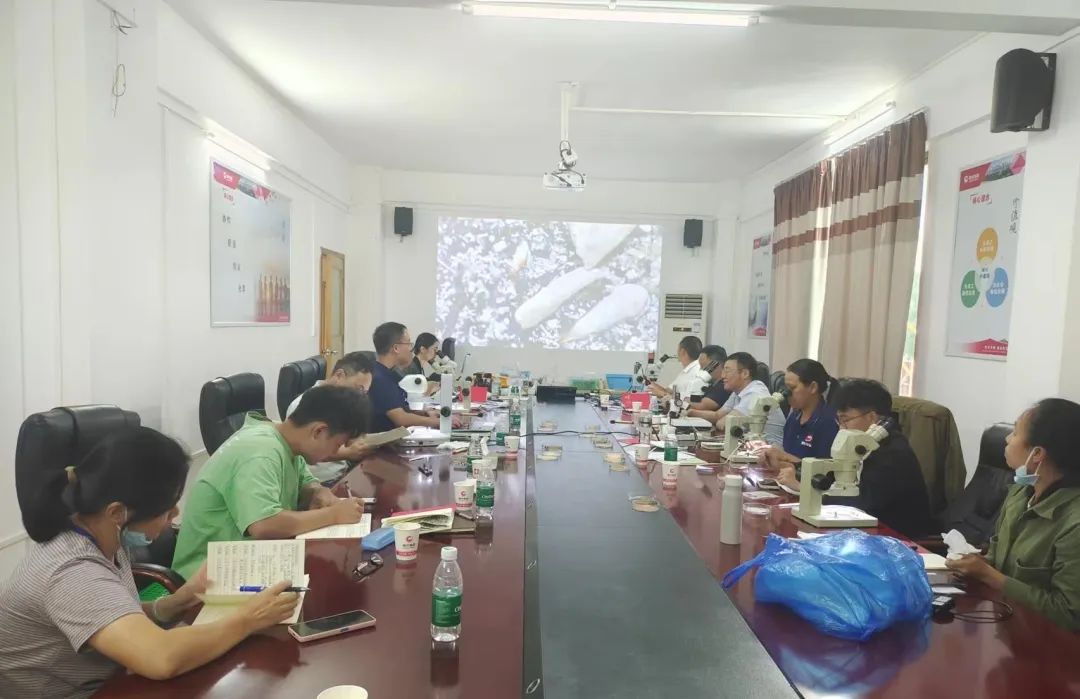 ONE游戏官网-皇马巴塞赞助商
