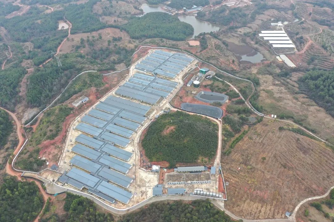 ONE游戏官网-皇马巴塞赞助商